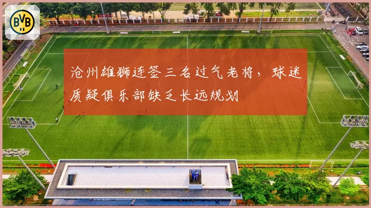 沧州雄狮连签三名过气老将,球迷质疑俱乐部缺乏长远规划