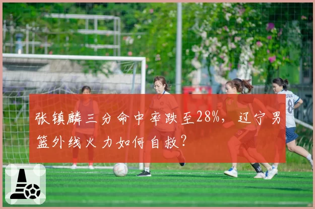 张镇麟三分命中率跌至28%，辽宁男篮外线火力如何自救？