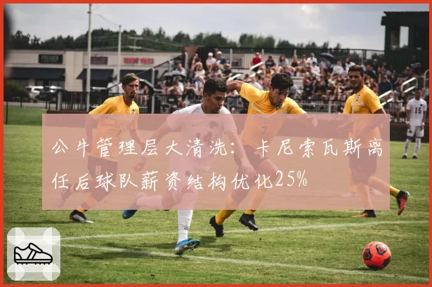 公牛管理层大清洗：卡尼索瓦斯离任后球队薪资结构优化25%